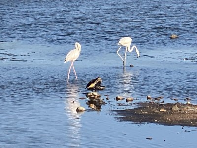 Holiday apartment Casa Anna - Environment photo 32