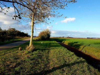 Holiday apartment The White House by the Sea - Environment photo 25
