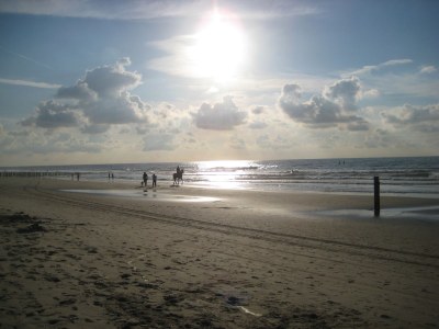 Apartment Residence Ruimzicht 35 - Environment photo 24