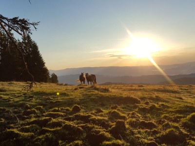 Alpine hut WebertonihÃ¼tte - Environment photo 24