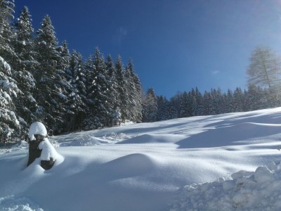 Alpine hut WebertonihÃ¼tte - Environment photo 27