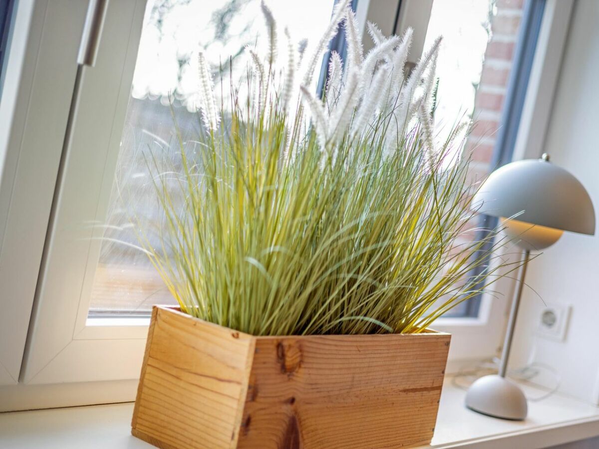 Holiday house Mart's Hüs II - Outdoor photo 3