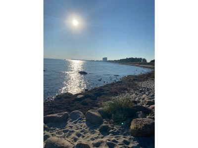 Holiday apartment Ferienwohnung altes Zollhaus Burgstaaken - Environment photo 17