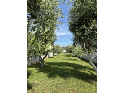 Holiday house No title - Outdoor photo 11