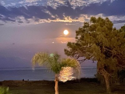 Holiday house Villa in Poggio-Mezzana near the Sea - Environment photo 30