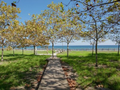 Holiday house Ferienhaus am Meer in Korsika - Environment photo 34