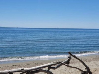 Holiday house Ferienhaus am Meer in Korsika - Environment photo 36