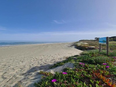 Holiday house Ferienhaus am Meer in Korsika - Environment photo 37