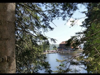 Apartment Tannenzäpfle 1 - Outdoor photo 14