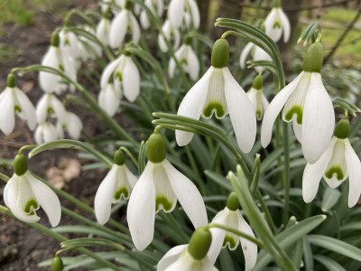 Apartment Tannenzäpfle 1 - Outdoor photo 30