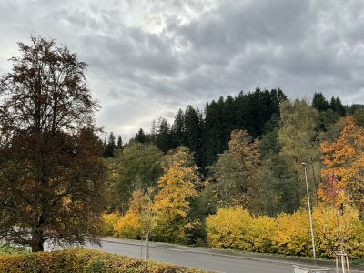 Apartment Tannenzäpfle 1 - Features photo 38