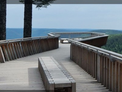 Apartment Tannenzäpfle 2 - Outdoor photo 11