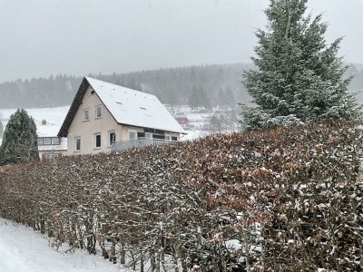 Apartment Tannenzäpfle 2 - Outdoor photo 23