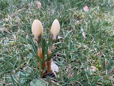 Apartment Tannenzäpfle 2 - Outdoor photo 31