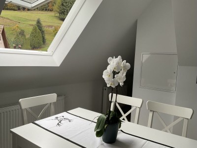 Apartment Tannenzäpfle 2 - Features photo 48