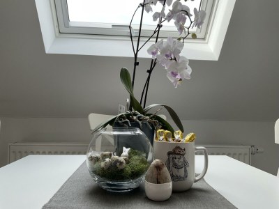 Apartment Tannenzäpfle 2 - Features photo 71