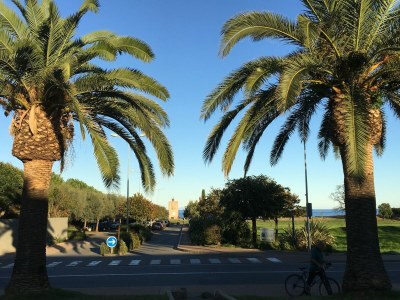 Villa Apartment in Corsica near Beaches - Environment photo 27