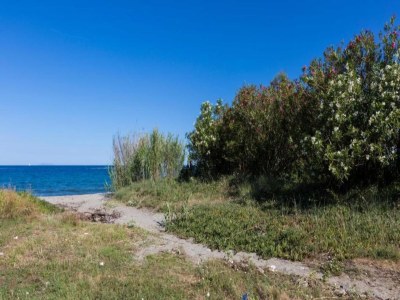 Villa Apartment in Corsica near Beaches - Environment photo 34