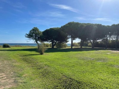 Holiday house Holiday Home in Corsica near the Beach - Environment photo 31