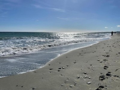 Holiday house Holiday Home in Corsica near the Beach - Environment photo 34