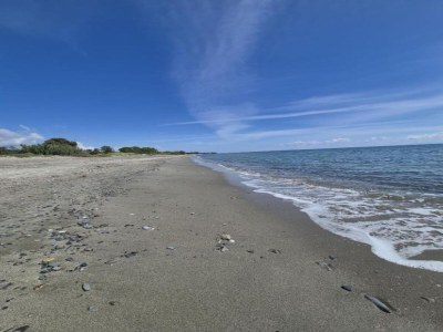Holiday house Holiday Home in Corsica near the Beach - Environment photo 36