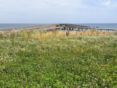 Holiday house 4 star holiday home in Hadsund-By Traum - Outdoor photo 12