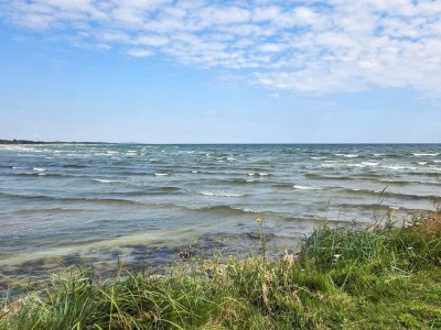 Holiday house 4 star holiday home in Hadsund-By Traum - Outdoor photo 36