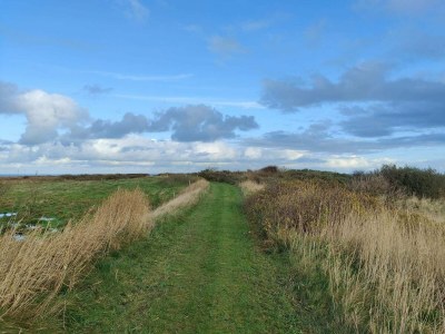 Holiday house 5 Sterne Ferienhaus in Lemvig-By Traum - Outdoor photo 13