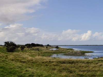 Holiday house 5 Sterne Ferienhaus in Lemvig-By Traum - Outdoor photo 43