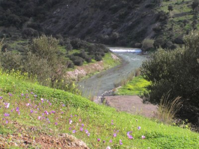 Holiday apartment Mesa Riza - Environment photo 18