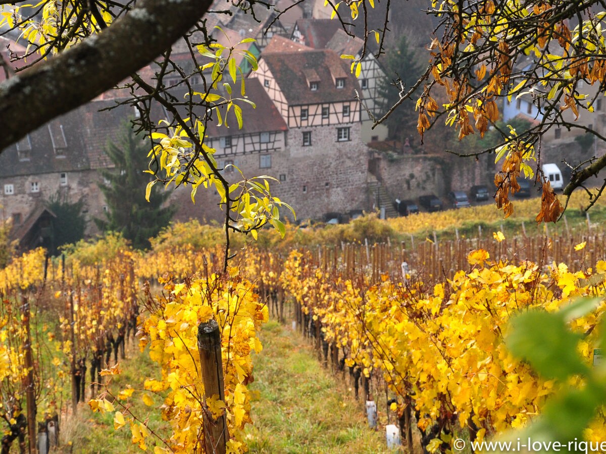 Holiday apartment The Fox & Grapes - Outdoor photo 3