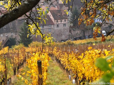 Holiday apartment The Fox & Grapes - Outdoor photo 3