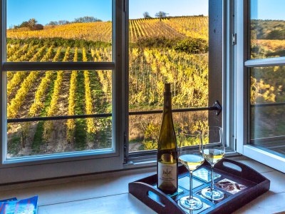 Holiday apartment The Fox & Grapes - Features photo 6