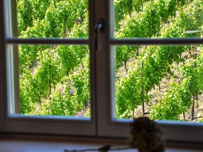 Holiday apartment The Fox & Grapes - Features photo 14