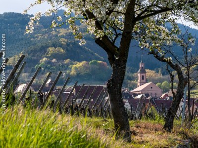 Holiday apartment The Fox & Grapes - Environment photo 20
