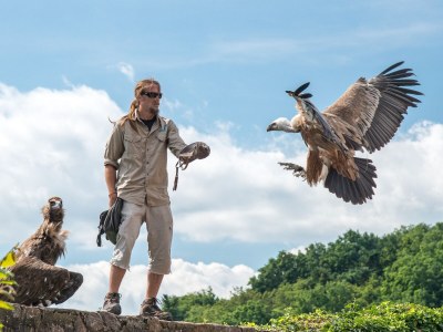 Holiday apartment The Fox & Grapes - Environment photo 22