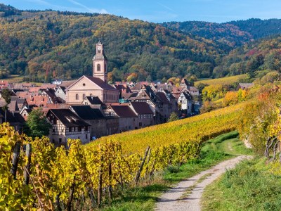 Holiday apartment The Lucky Dragon - Environment photo 16