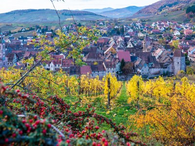 Holiday apartment The Lucky Dragon - Environment photo 17