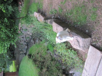 Apartment Appartement/Fewo, Dusche, WC, 2 Schlafräume - Outdoor photo 2