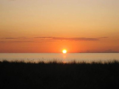 Bungalow Ruhiger Bungalow in Alt Bukow - Environment photo 28