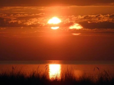 Bungalow Ruhiger Bungalow in Alt Bukow - Environment photo 29