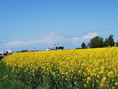 Bungalow Ruhiger Bungalow in Alt Bukow - Environment photo 31