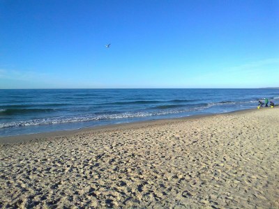 Bungalow Ruhiger Bungalow in Alt Bukow - Environment photo 33