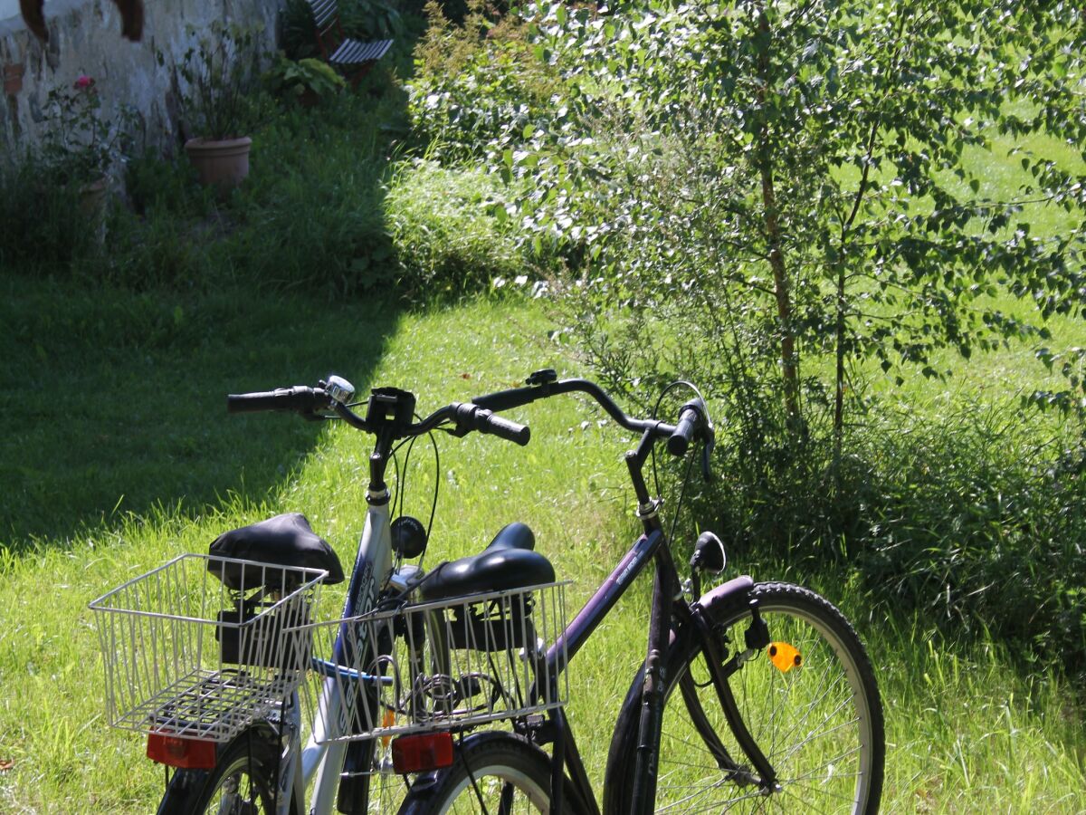 Apartment Kleine Ferienwohnung in Steffenshagen mit Garten - Outdoor photo 2
