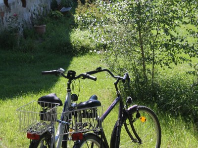 Apartment Kleine Ferienwohnung in Steffenshagen mit Garten - Outdoor photo 2