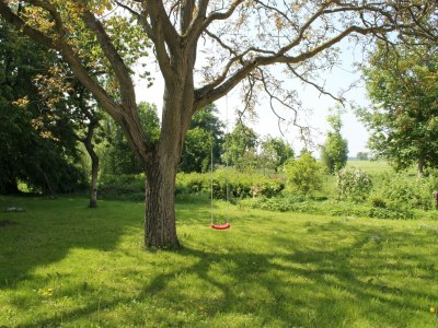 Apartment Kleine Ferienwohnung in Steffenshagen mit Garten - Outdoor photo 9