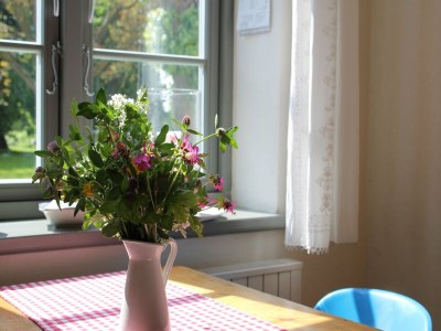 Apartment Kleine Ferienwohnung in Steffenshagen mit Garten - Features photo 10