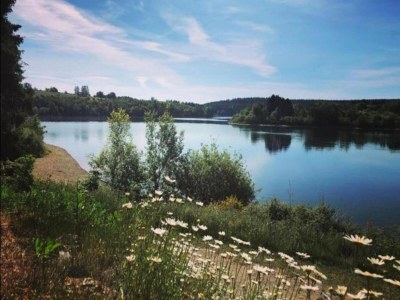 Apartment Kleine Ferienwohnung in Steffenshagen mit Garten - Environment photo 30