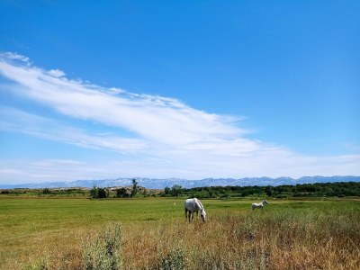 Holiday house Eda - Environment photo 19