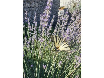 Holiday house Eda - Environment photo 20